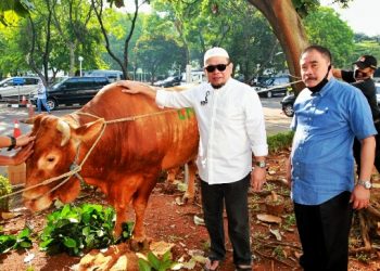 Ketua DPD RI Minta Pemerintah Serius Tanggapi Potensi Lonjakan Harga Sapi Potong