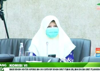 Nevi Zuairina Minta Penyaluran BPUM Harus Tepat dan Akurat