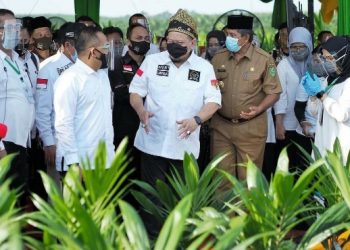 Ketua DPD RI Minta Peningkatan Harga Sawit Harus Sejahterakan Petani