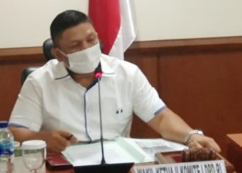 Catatan Kritis: Eksistensi Kewenangan DPD dan Independensi Calon Presiden dan Wakil Presiden
