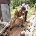 Genius Umar Gencarkan Bedah Rumah Warga Tak Mampu