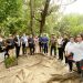 Peduli Lingkungan, DPD RI Tanam Mangrove di Kepulauan Seribu