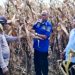 Petani Keluhkan Kelangkaan Pupuk ke Anggota DPRD Sumbar HM Nurnas