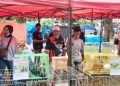 Komunitas Pesona Ayam Hias Minangkabau Gelar Pameran