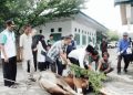 Jumlah Hewan Kurban di Pasaman Meningkat Selama Idul Adha
