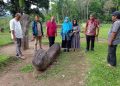 Nevi Zuairina Dukung Pengembangan Cagar Budaya Geopark 1000 Menhir di Nagari Maek