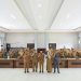 Bupati Sabar AS: Kabupaten Pasaman Siap Implementasikan Satu Data Indonesia