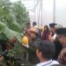 Bupati Eka Putra Apresiasi Budidaya Melon Sistem Green House oleh SMKN 2 Batusangkar