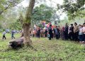 Tradisi Bantai Adat di TBA Selatan Kabupaten Sijunjung Sembelih 8 Ekor Kerbau