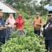 “Mengenang Sang Legenda Chairul Harun”;  Hamas Ziarah ke Pusara Almarhum di Kayu Tanam