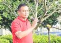Pjs Bupati Agam Endrizal Pimpin Apel Gabungan, Ingatkan Netralitas ASN pada Pilkada 2024
