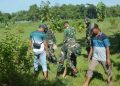 Yonarmed 12 Kostrad Bersama Warga Desa Pangkur Tanam 1000 Pohon Sukun untuk Kelestarian Lingkungan