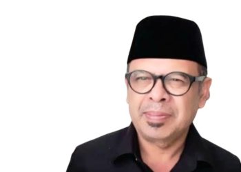 Ketika Ahli Hukum Tata Negara Merusak Pagar Demokrasi