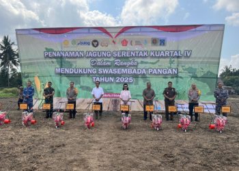 GKR Hemas Hadiri Penanaman Jagung Serentak Kuartal IV, Tegaskan Komitmen DPD RI dalam Ketahanan Pangan Nasional