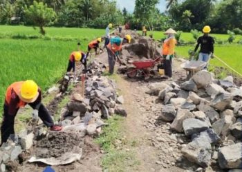 Melalui Program Padat Karya PISEW, Kementerian PU Dorong Pertumbuhan Ekonomi dan Swasembada Pangan Desa