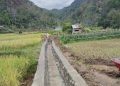 Pemkab Tanah Datar Perbaiki Irigasi Melalui Program Optimasi Lahan Sawah