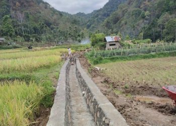 Pemkab Tanah Datar Perbaiki Irigasi Melalui Program Optimasi Lahan Sawah