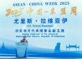 ASEAN-China Week 2025: Yorrys Raweyai Tekankan Inovasi dan Konektivitas sebagai Pilar Modernisasi Kawasan