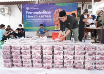 PP Muhammadiyah Usung Konsep Eco-frendly dalam Penyembelihan Hewan Kurban