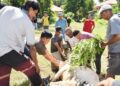 ASN Pariaman Kurban 5 Ekor Sapi, Dagingnya Dibagi-bagi ke Masyarakat