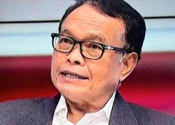 Teori Genggam Anak Ayam dalam Politik Desentralisasi