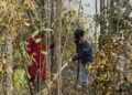 Dari Sebangau untuk Masa Depan Hutan: Perjalanan Faaiz Naufal Syahputra Menyatukan Pariwisata dan Konservasi