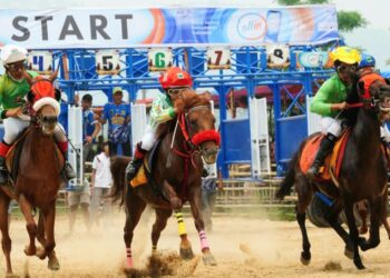 Pacu Kuda Open Race dan Tradisional Bupati Cup 2026, Lestarikan Budaya dan Angkat Ekonomi Masyarakat