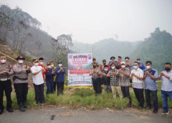 Bupati Dharmasraya Annisa Tinjau Lokasi Bekas Karhutla, Ternyata Ada yang Ditanam Sawit Secara Ilegal